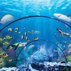 亚龙湾海底世界