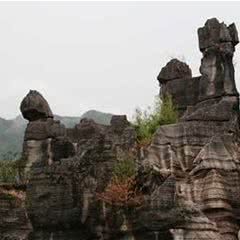 西部竹石林