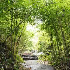 双龙生态旅游度假区