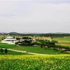 木兰草原
