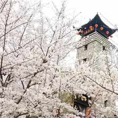锦里沟