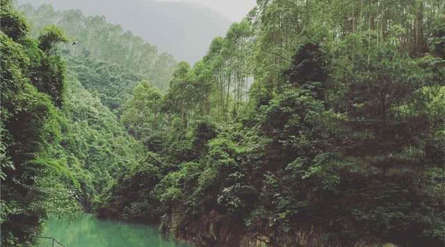 桃园玫瑰小镇景区