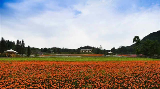 凤凰花果山