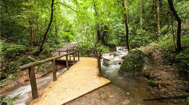 莫里热带雨林景区