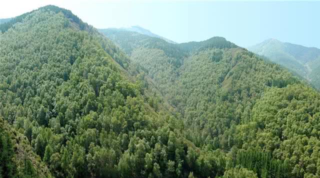苏木山