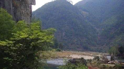 箬寮原始林