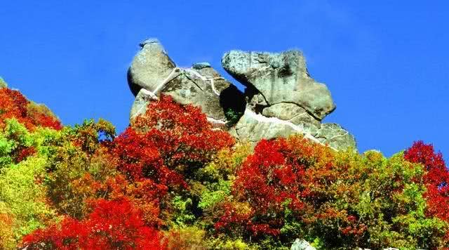 五岳寨旅游风景区