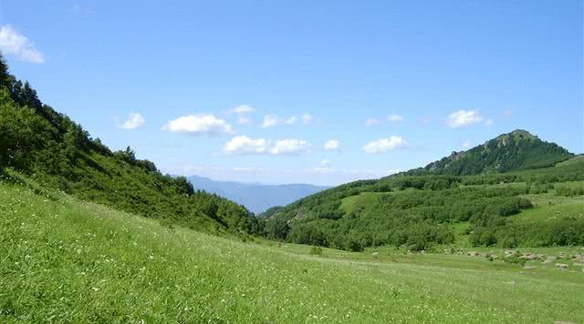 白草洼国家森林公园