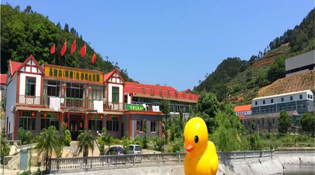 皇旗尖休闲茶庄园