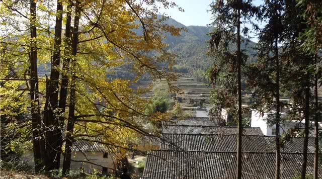 梅关古道