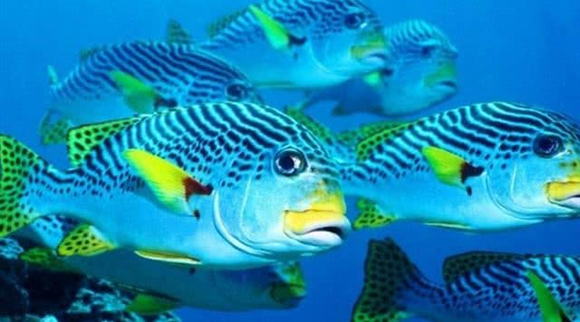 金鹰海洋世界