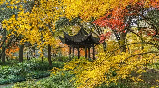 杭州植物园