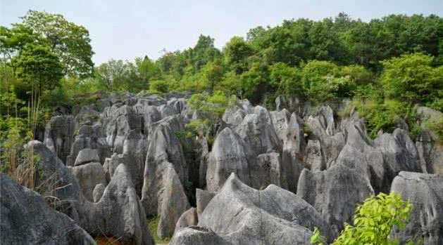 奥陶纪石林景区