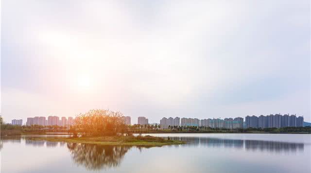 洋湖湿地公园