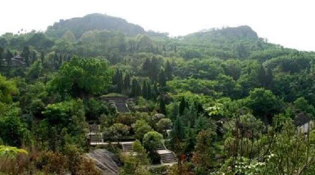佛手山风景区