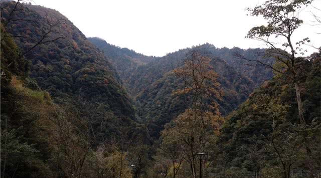 蜂桶寨邓池沟景区
