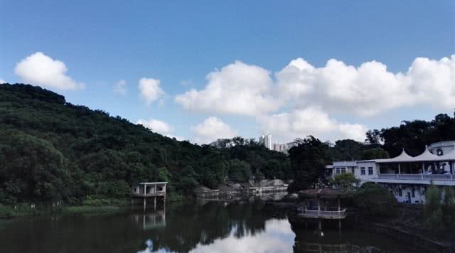 深圳美术馆
