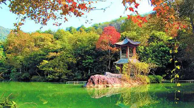 野趣沟