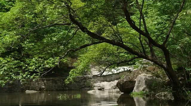 中坝大峡谷
