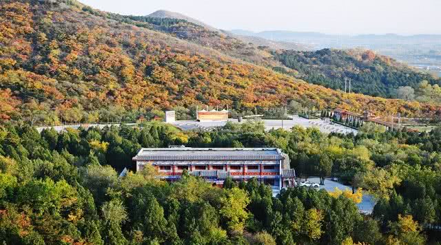 蟒山国家森林公园