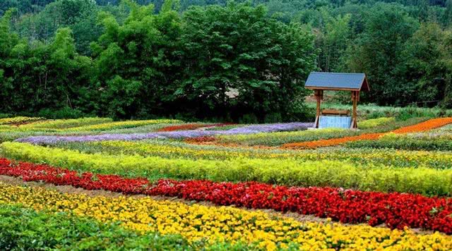原香国际香草园